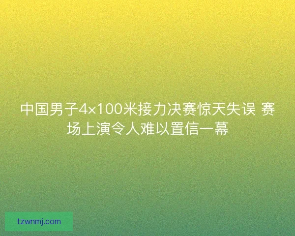 中国男子4×100米接力决赛惊天失误 赛场上演令人难以置信一幕